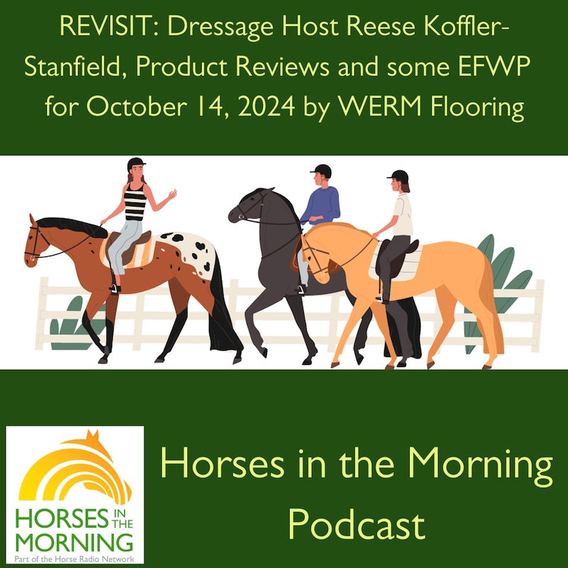 Artwork for podcast Horses in the Morning