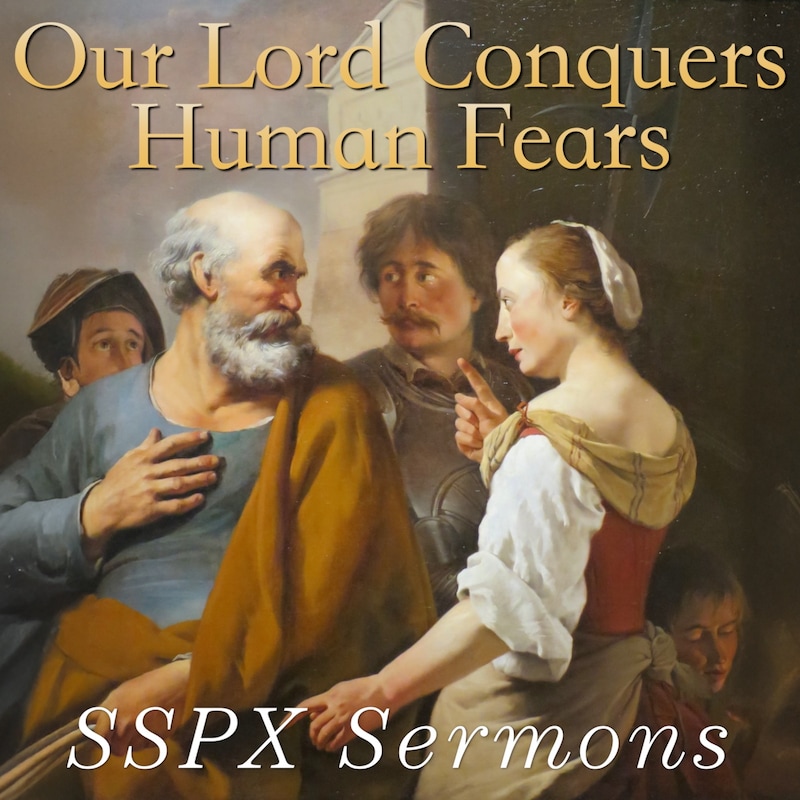 Artwork for podcast SSPX Sermons