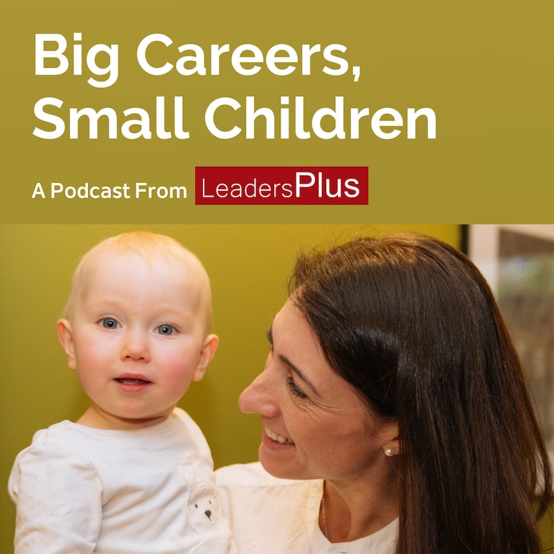 Artwork for podcast Big Careers, Small Children 