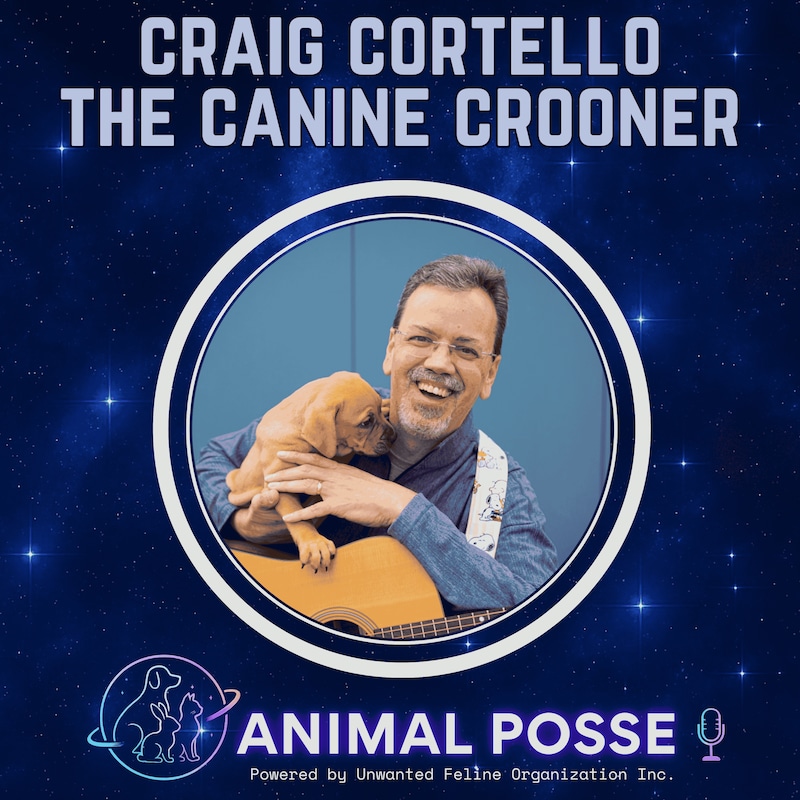 Artwork for podcast Animal Posse