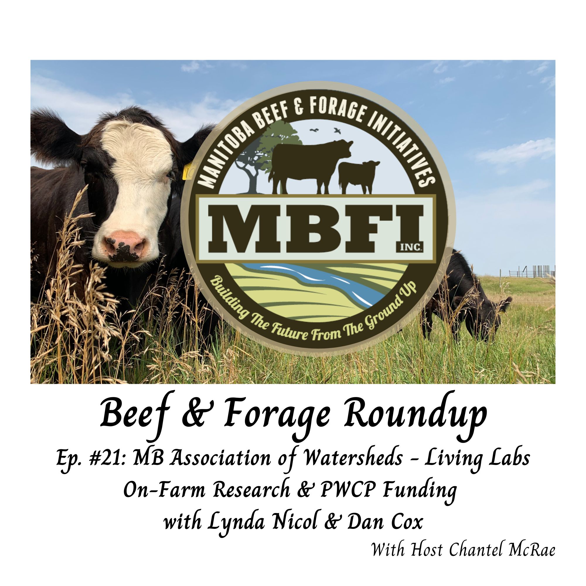Beef and Forage Roundup