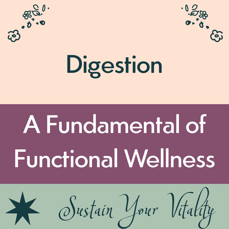 Artwork for podcast Sustain Your Vitality