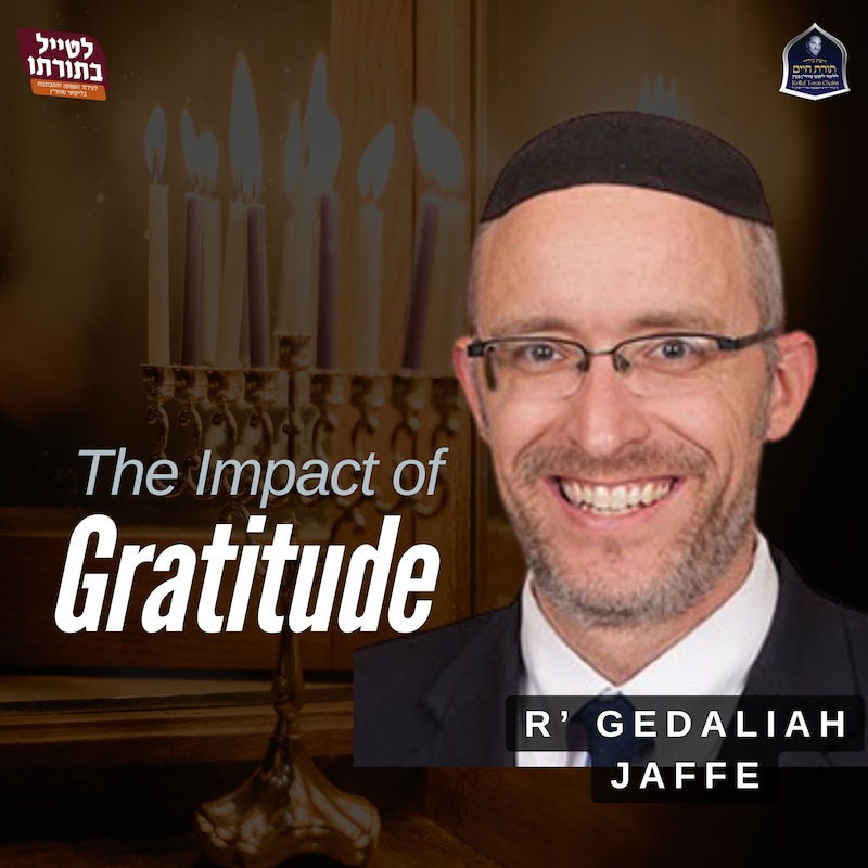 Artwork for podcast Kollel Toras Chaim All Shiurim