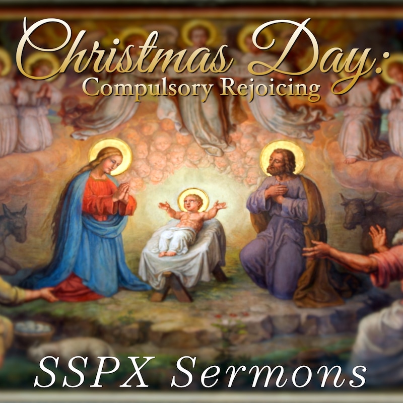 Artwork for podcast SSPX Sermons