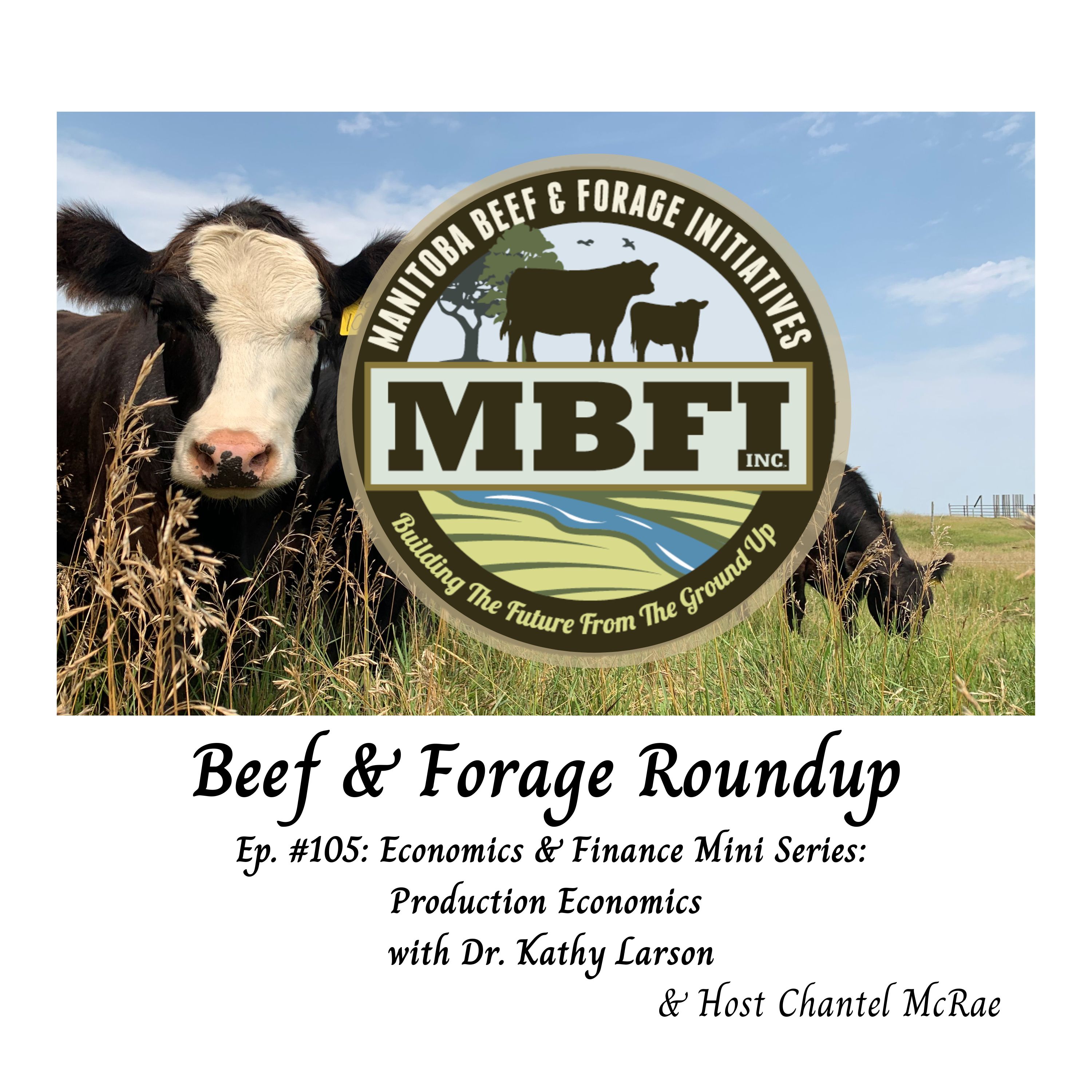 Beef and Forage Roundup