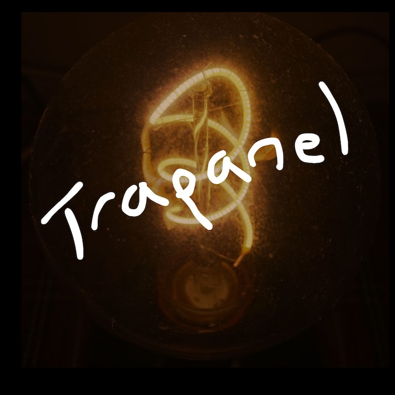 Artwork for podcast TRAPANEL