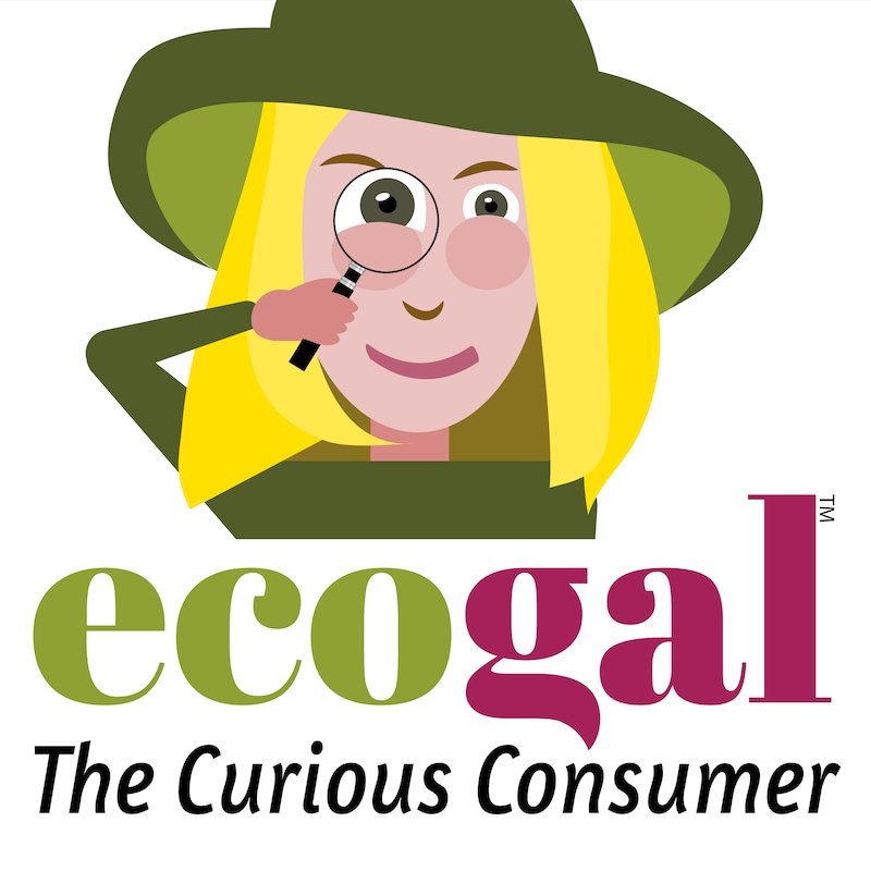 Artwork for podcast Ecogal the curious consumer