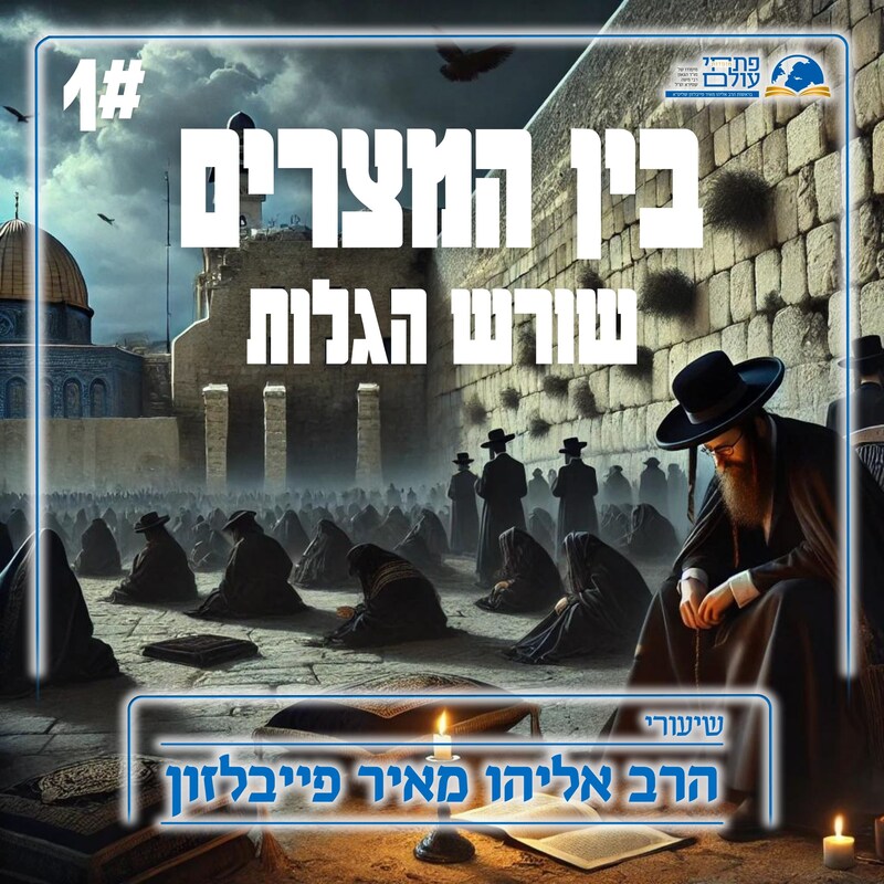 Artwork for podcast שיעורי הרב פייבלזון