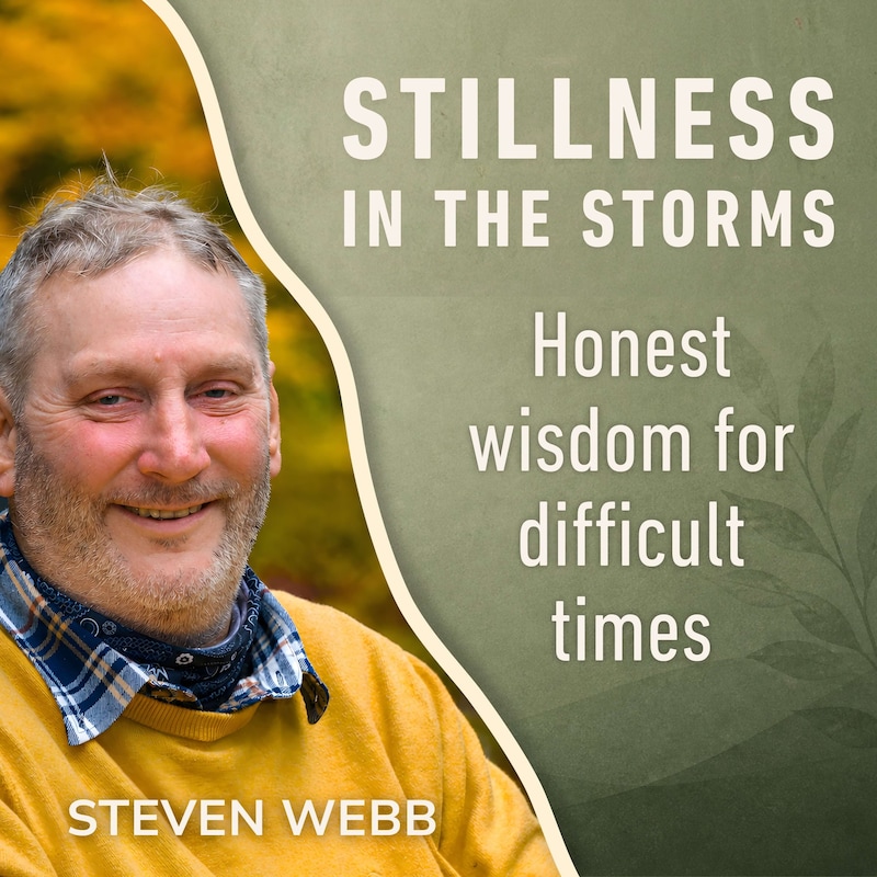 Artwork for podcast Stillness in the Storms