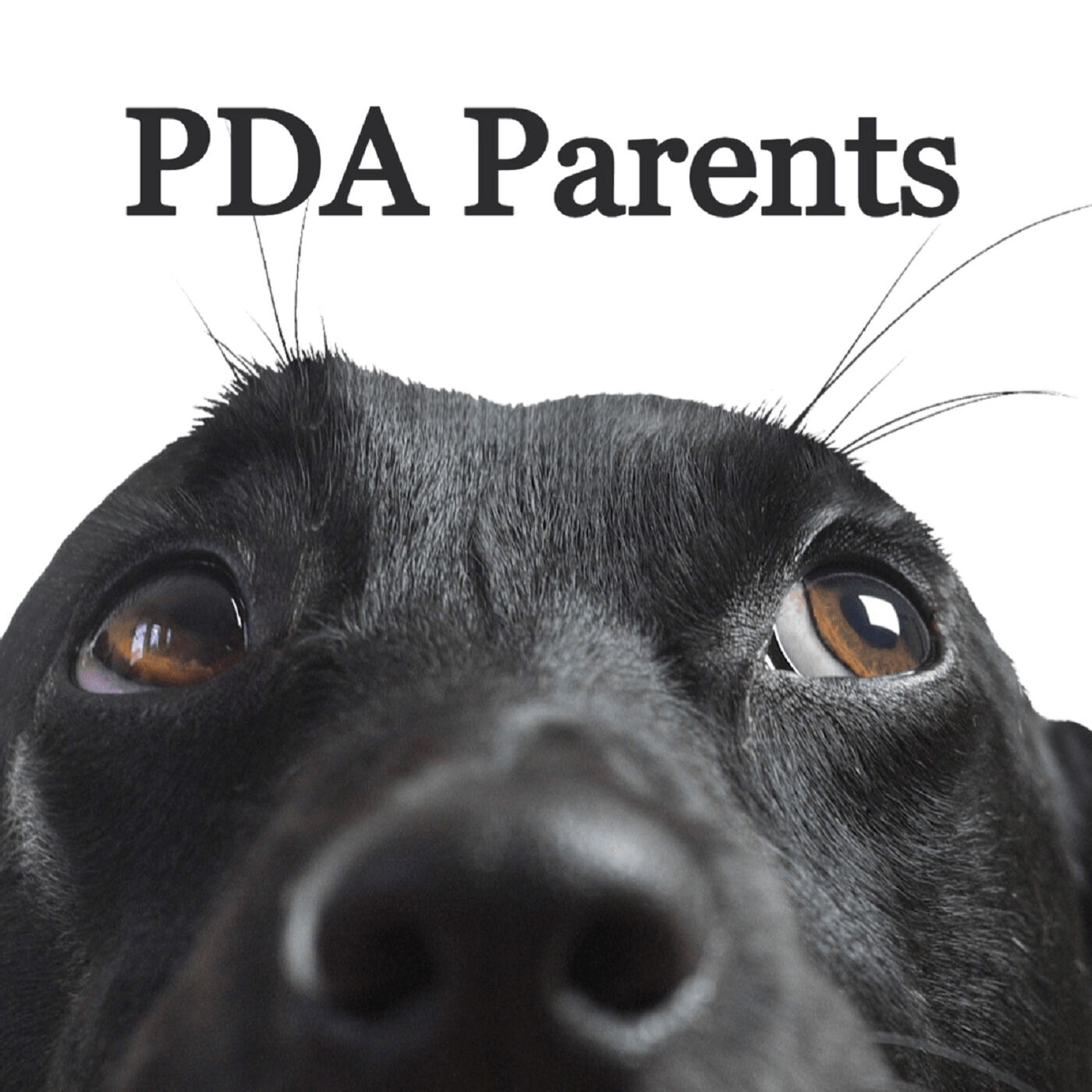 Episode 8 - PDA and School
