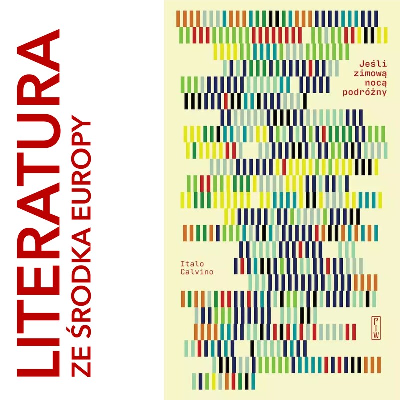 Artwork for podcast Literatura ze środka Europy