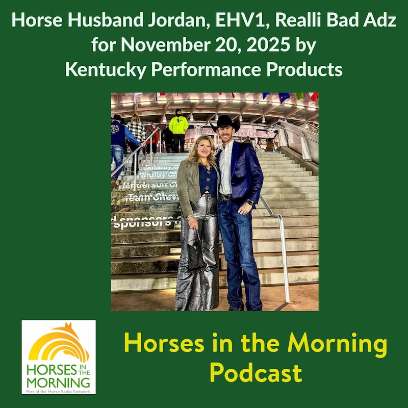 Artwork for podcast HRN Auditor Podcast