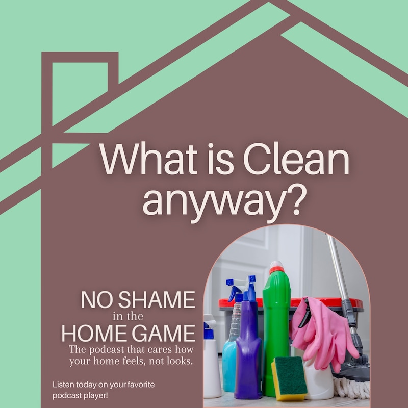 Artwork for podcast No Shame in Our Game