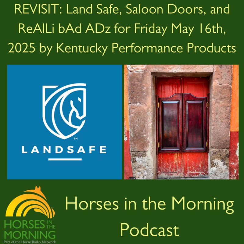 Artwork for podcast HORSES IN THE MORNING