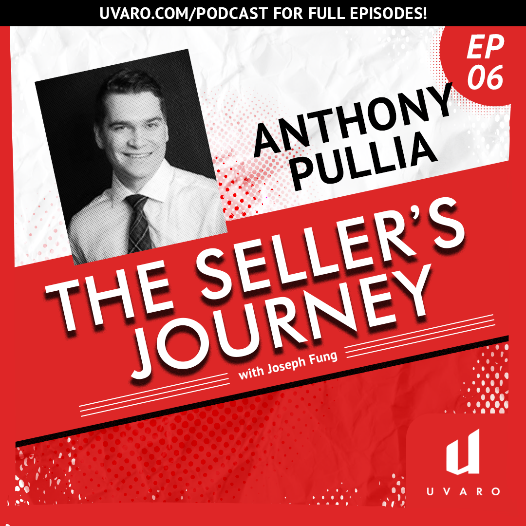 Artwork for podcast The Seller's Journey