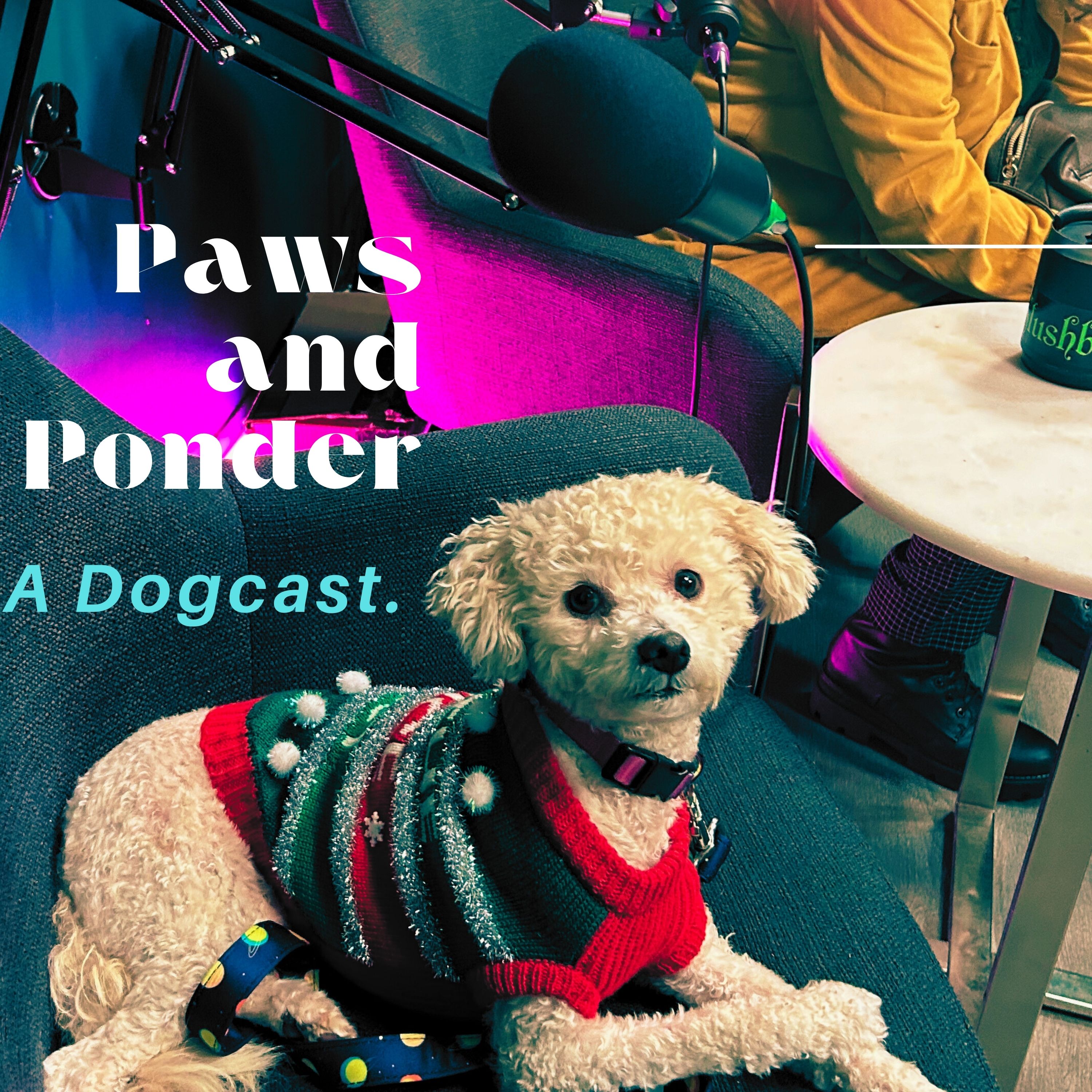 Artwork for Paws and Ponder: A Dogcast 