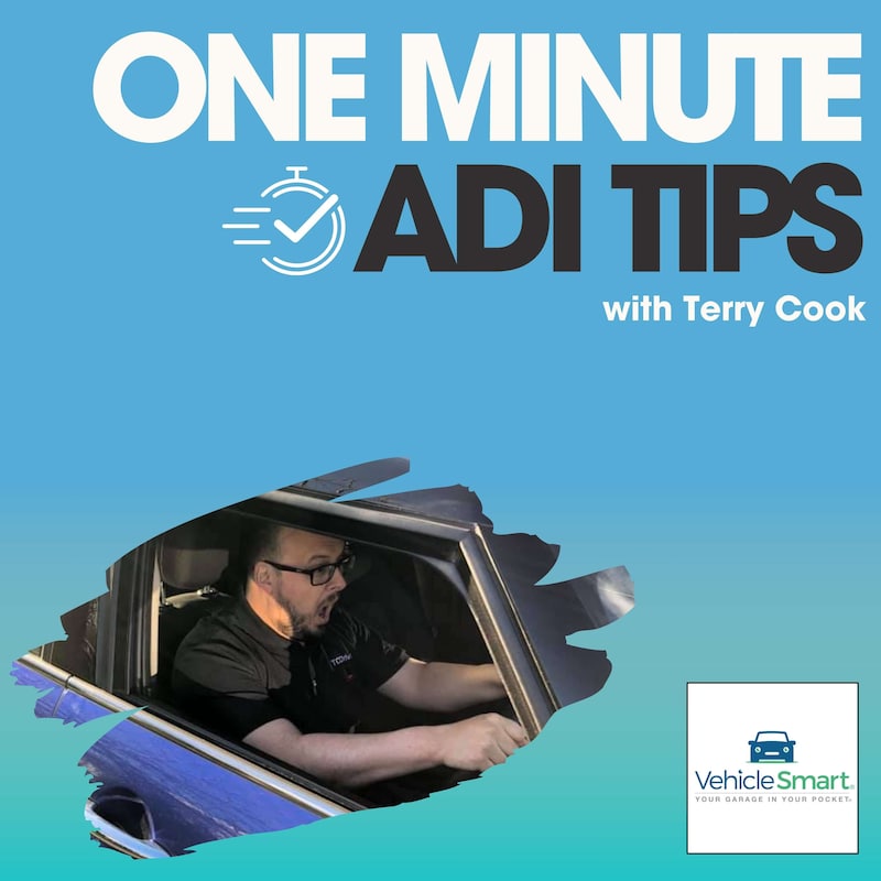 Artwork for podcast One Minute Driving Instructor Tips