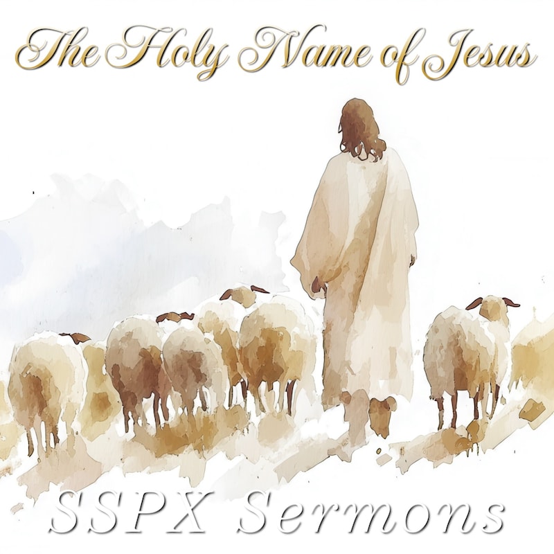 Artwork for podcast SSPX Podcast