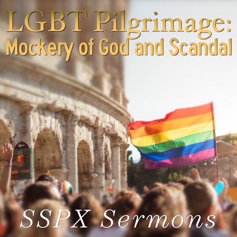 Artwork for podcast SSPX Sermons