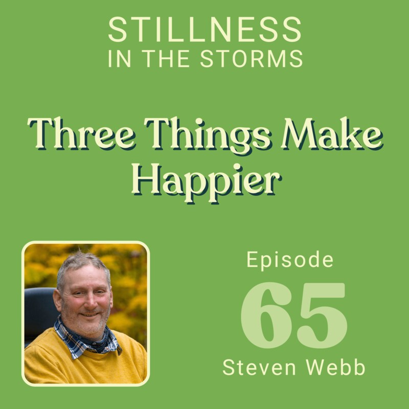 Artwork for podcast Stillness in the Storms