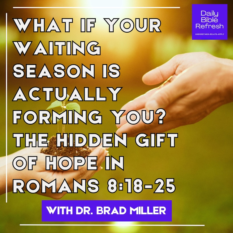 Artwork for podcast Daily Bible Refresh