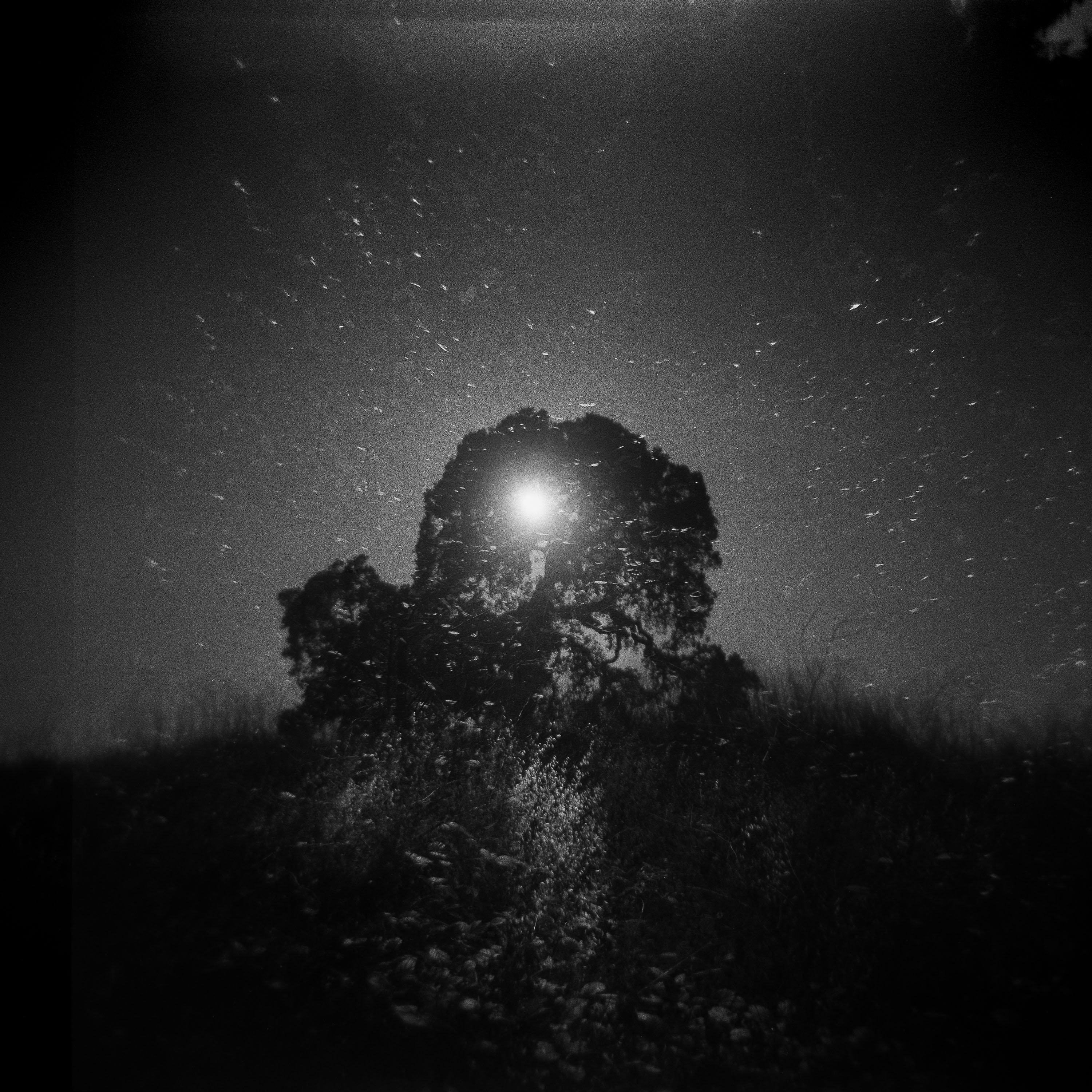 Making Light: An Invitation… – by Kerri ní Dochartaigh