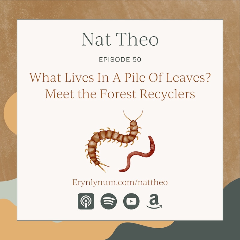Artwork for podcast Nat Theo Nature Lessons Rooted in the Bible