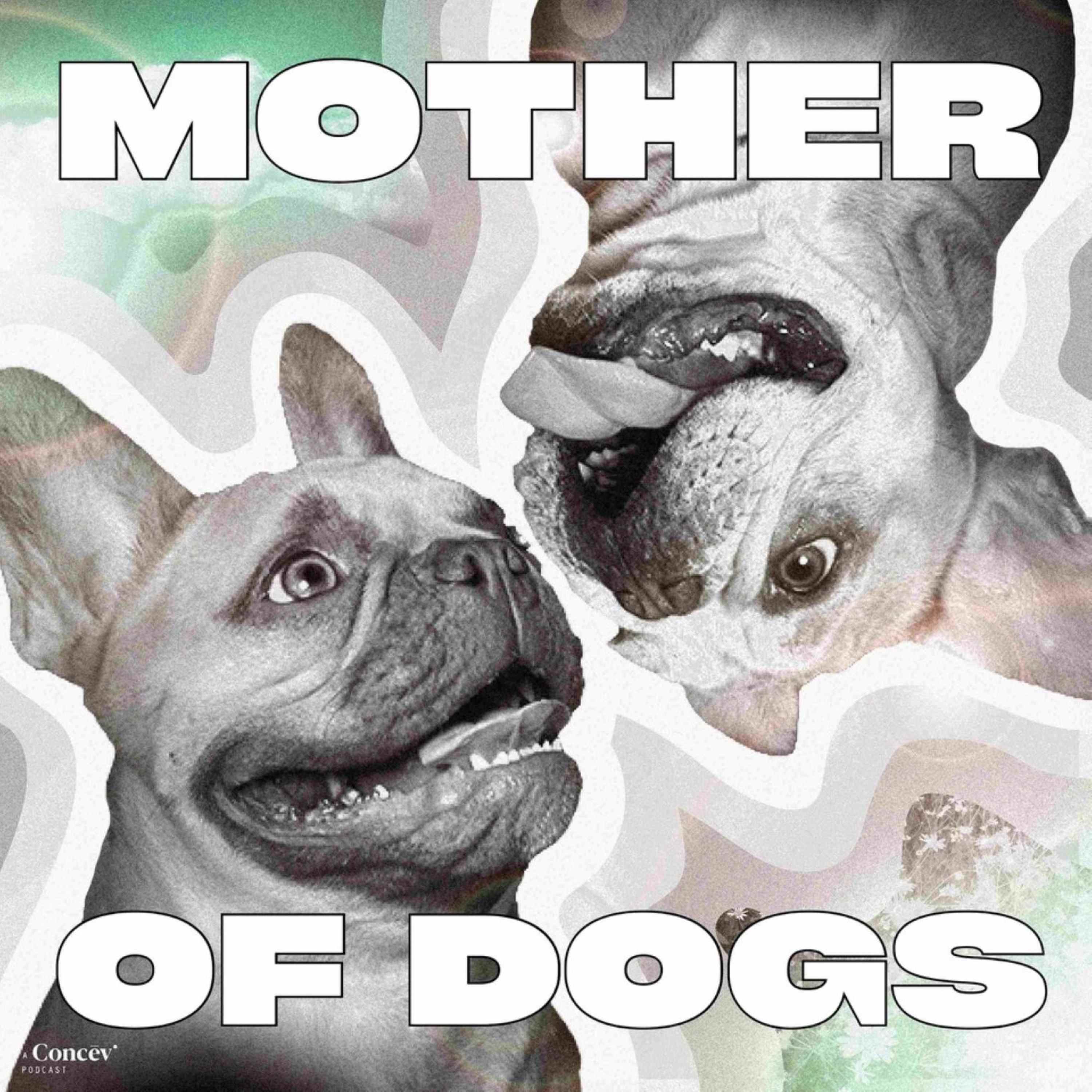 Show artwork for Mother of Dogs