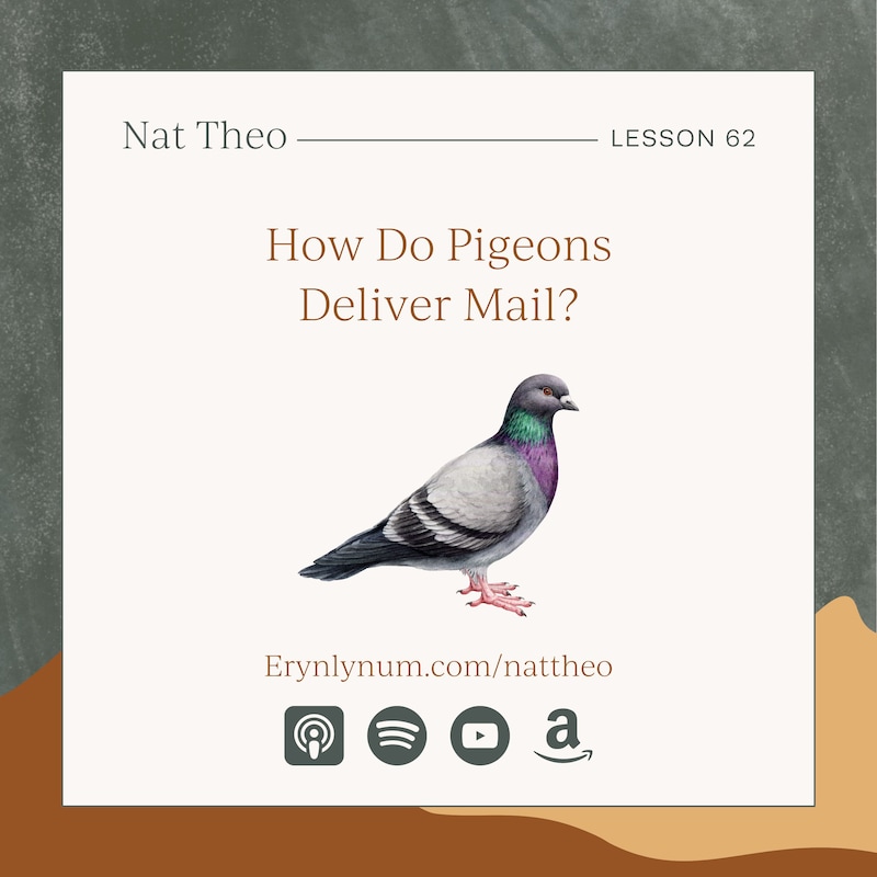 Artwork for podcast Nat Theo Nature Lessons Rooted in the Bible