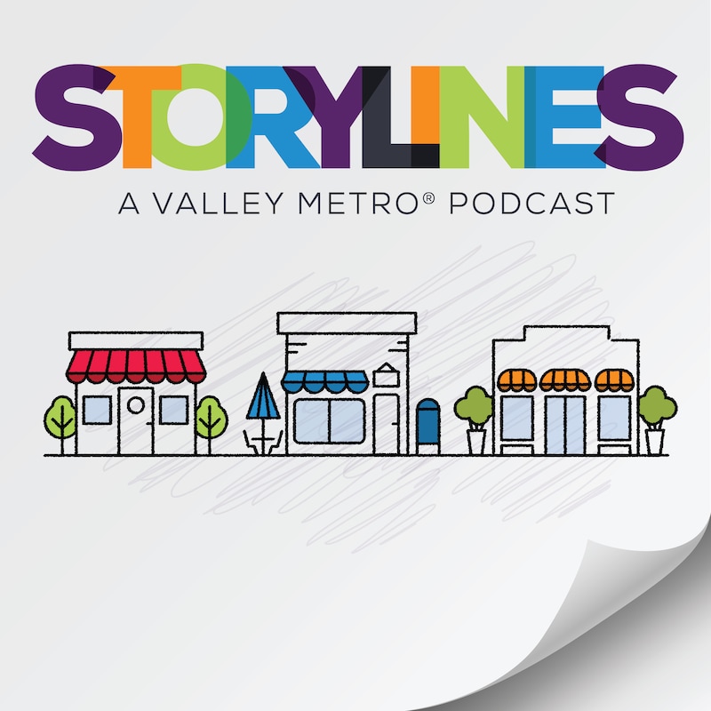 Artwork for podcast Storylines