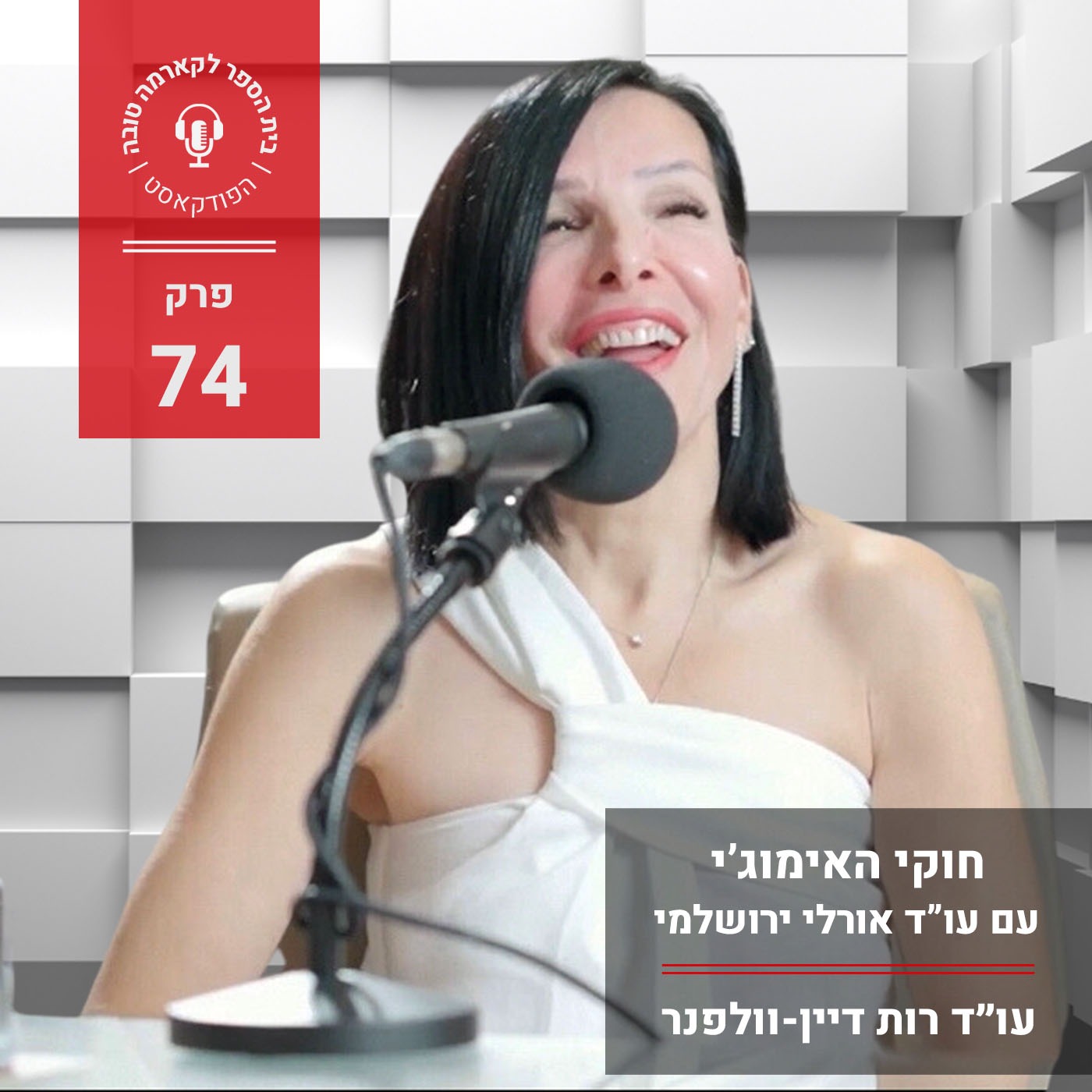 חוקי האימוג׳י - עו״ד אורלי ירושלמי episode artwork