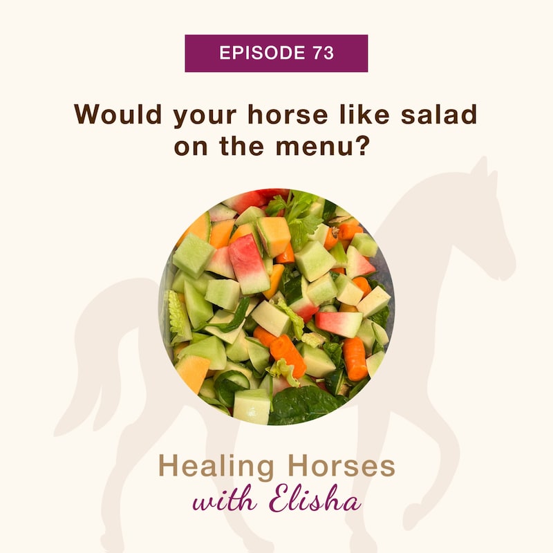 Artwork for podcast Healing Horses with Elisha