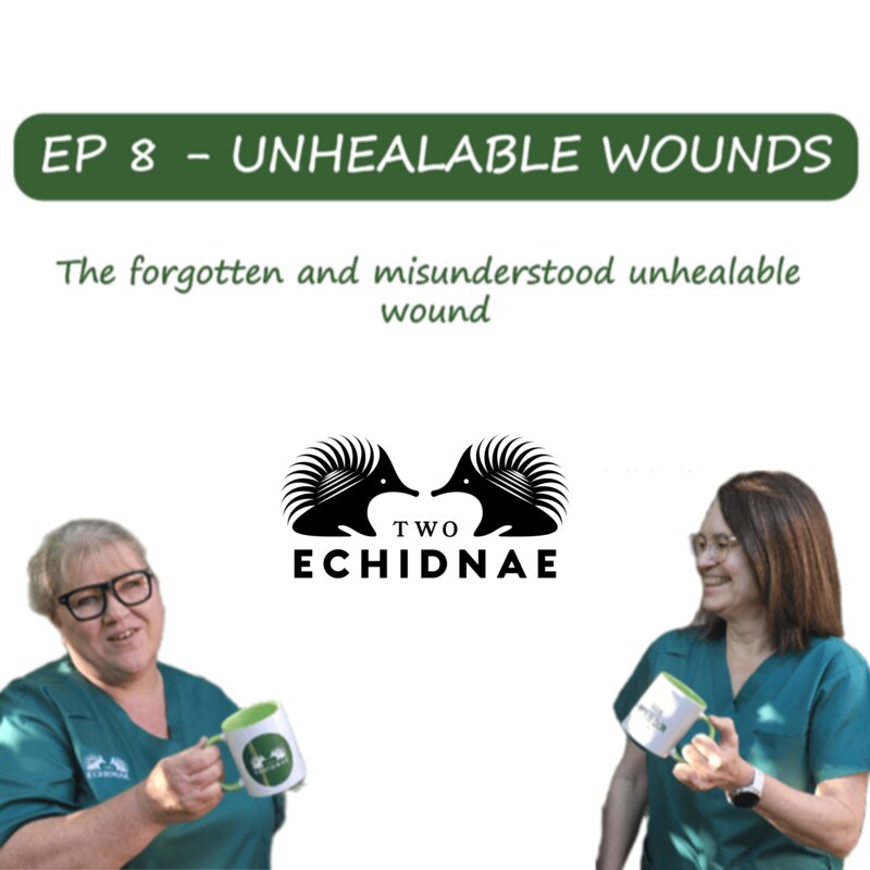 Artwork for podcast Two Echidnae Wound Care Podcast with Monika and Donna
