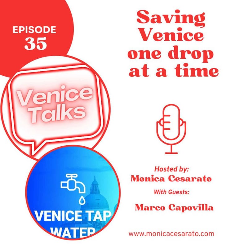 Artwork for podcast Venice Talks