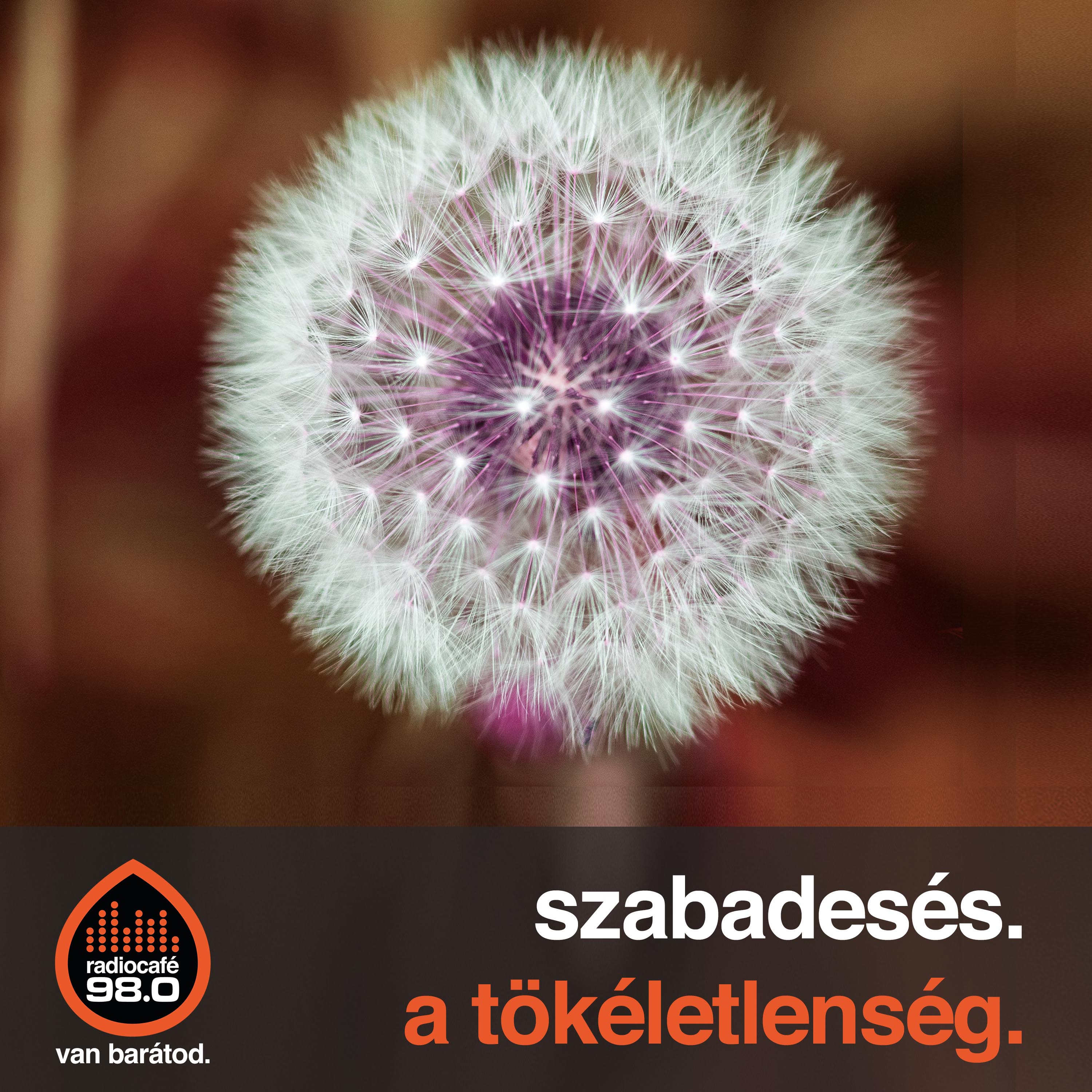 szabadesés