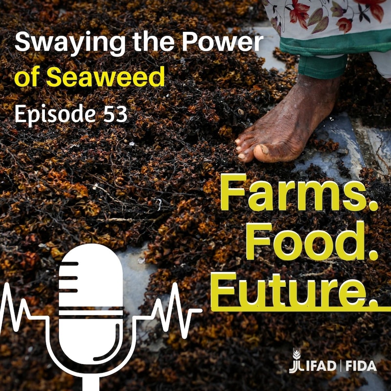 Artwork for podcast Farms. Food. Future.