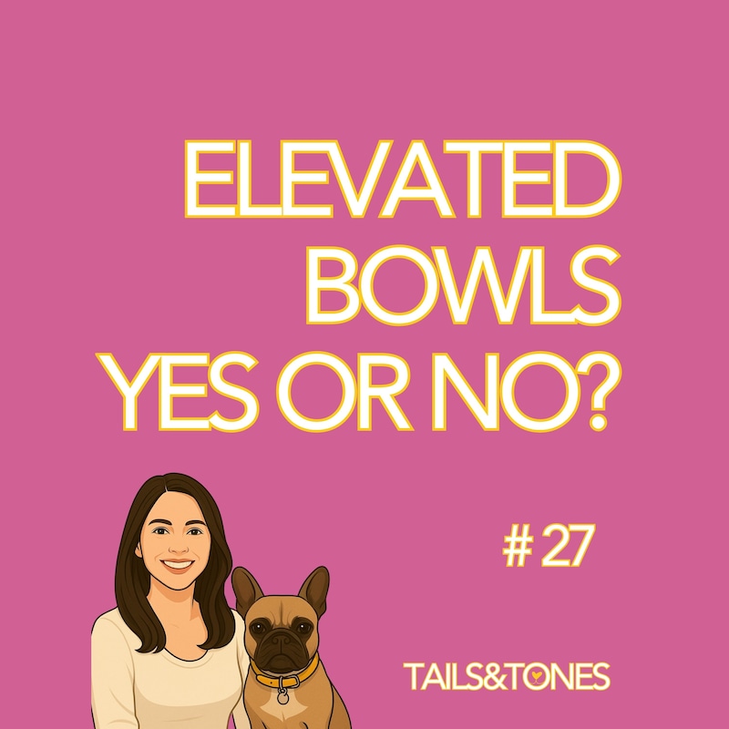 Artwork for podcast Tails and Tones