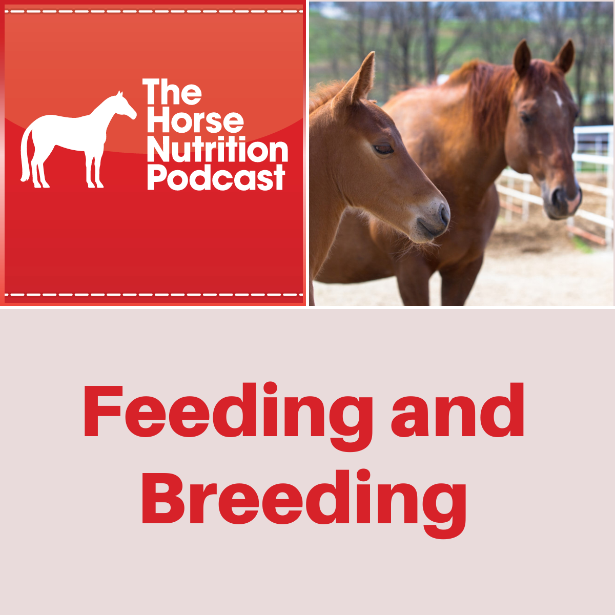 Feeding and Breeding