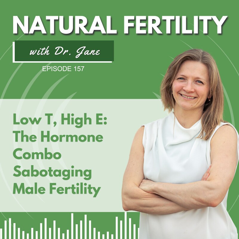 Artwork for podcast Natural Fertility with Dr. Jane