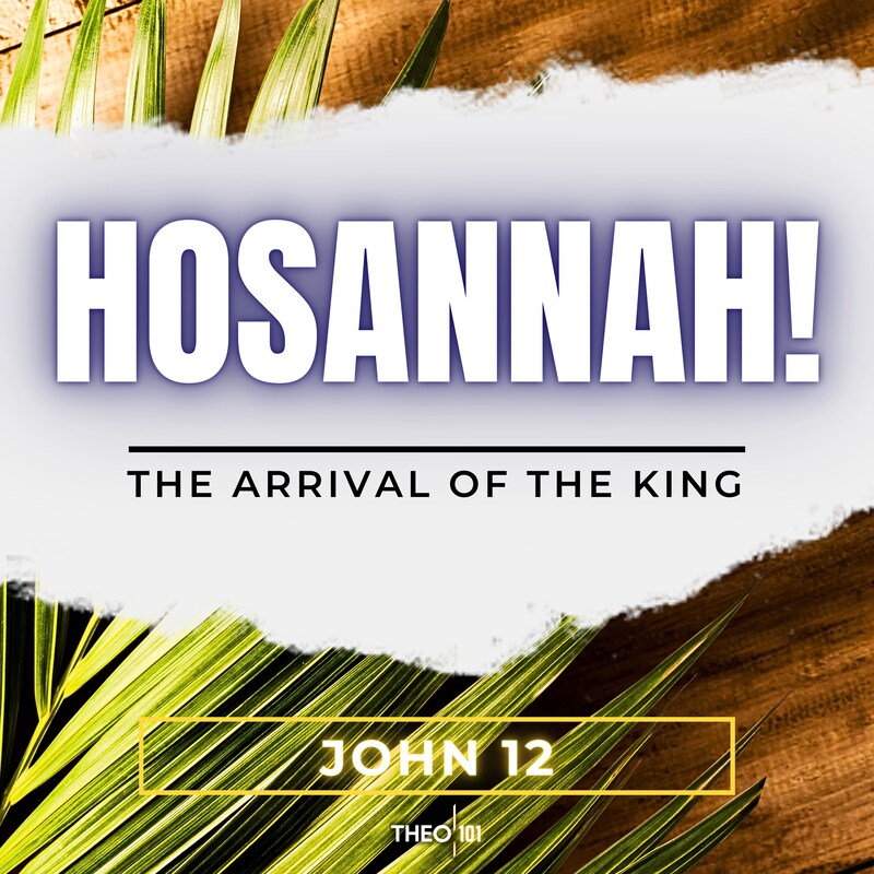 Artwork for podcast John Explained: A Bible Study