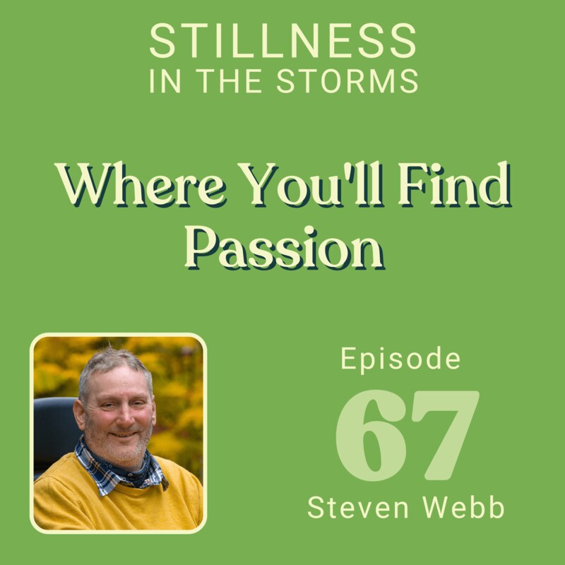 Artwork for podcast Stillness in the Storms