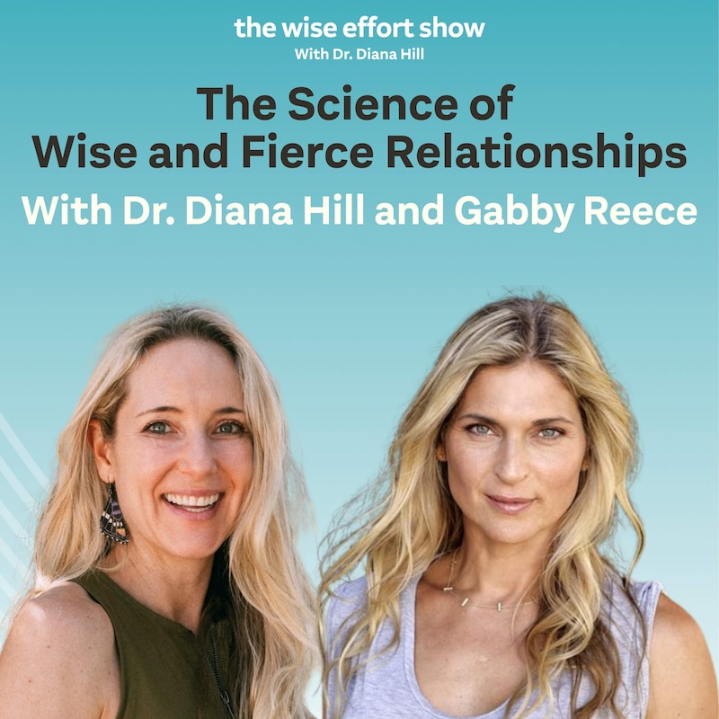 Artwork for podcast The Wise Effort Show