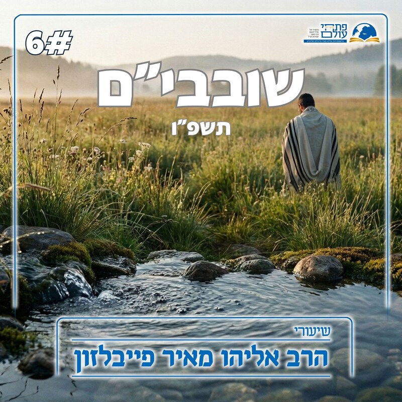 Artwork for podcast שיעורי הרב פייבלזון