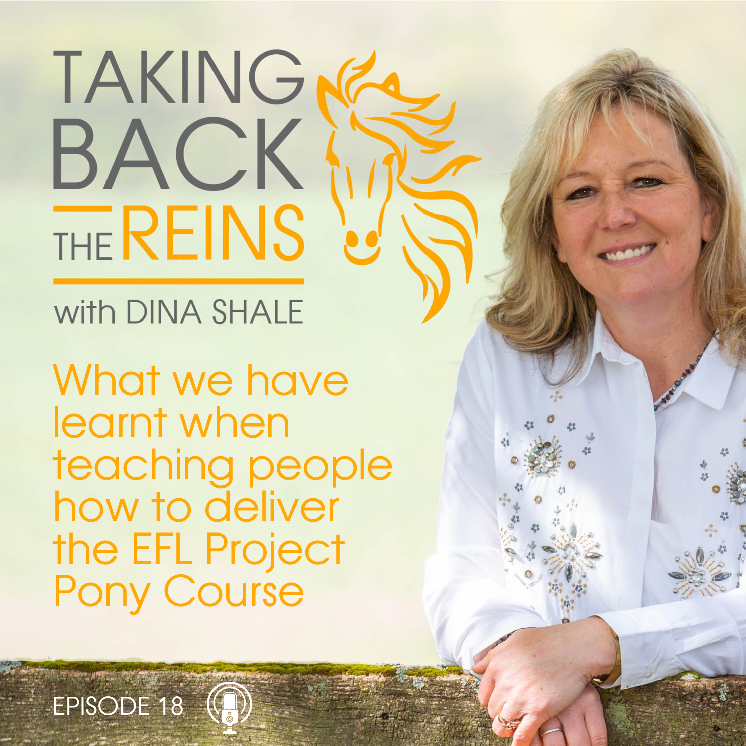018 What we have learnt when teaching people how to deliver our EFL Project Pony Course episode artwork