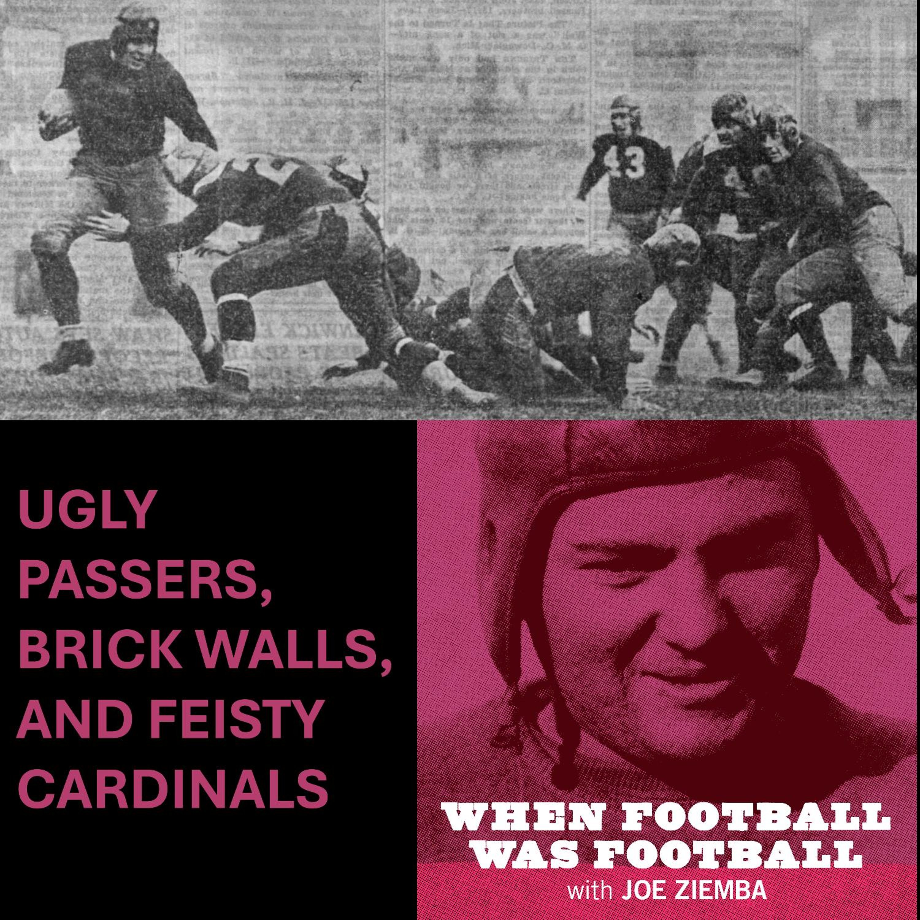 UGLY PASSERS, BRICK WALLS, AND FEISTY CARDINALS!