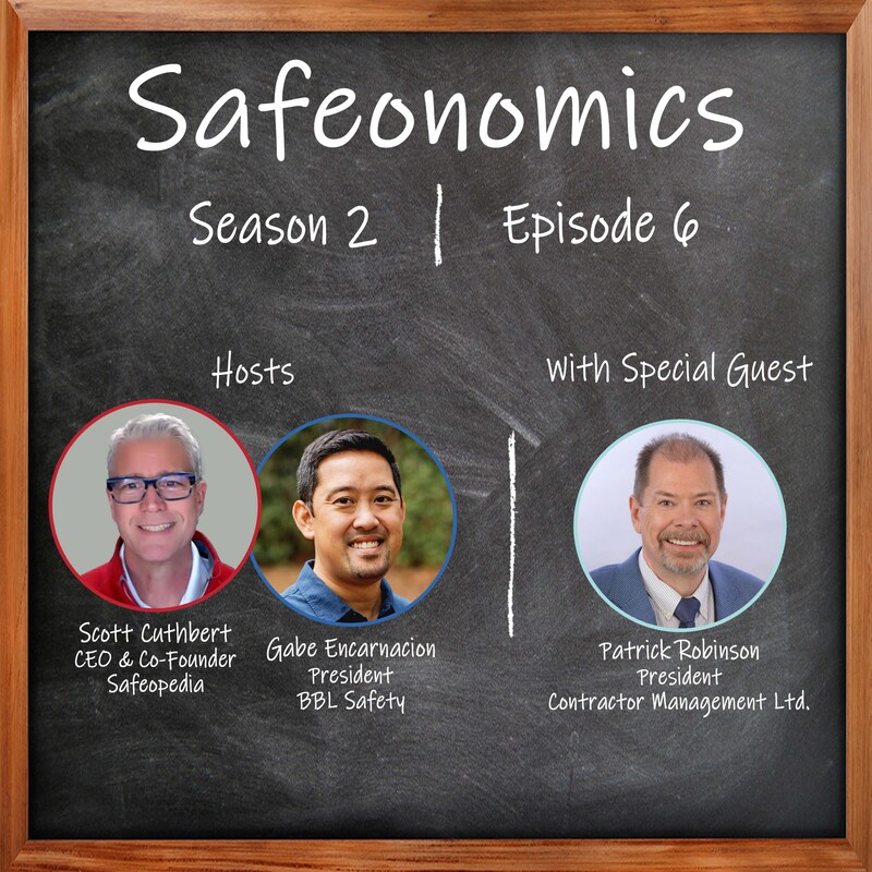 Artwork for podcast Safeopedia Podcasts