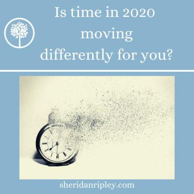 #31 Is Time in 2020 Moving Differently for You? episode artwork