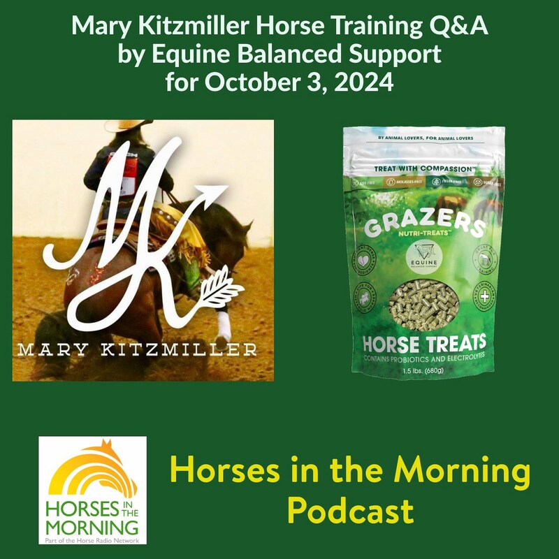Artwork for podcast Horses in the Morning
