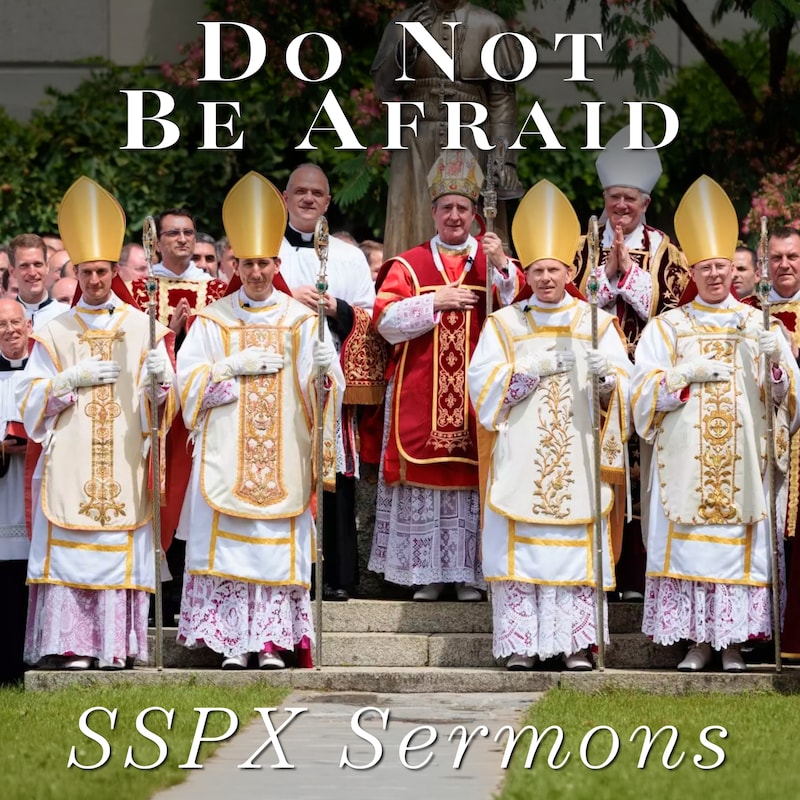 Artwork for podcast SSPX Sermons