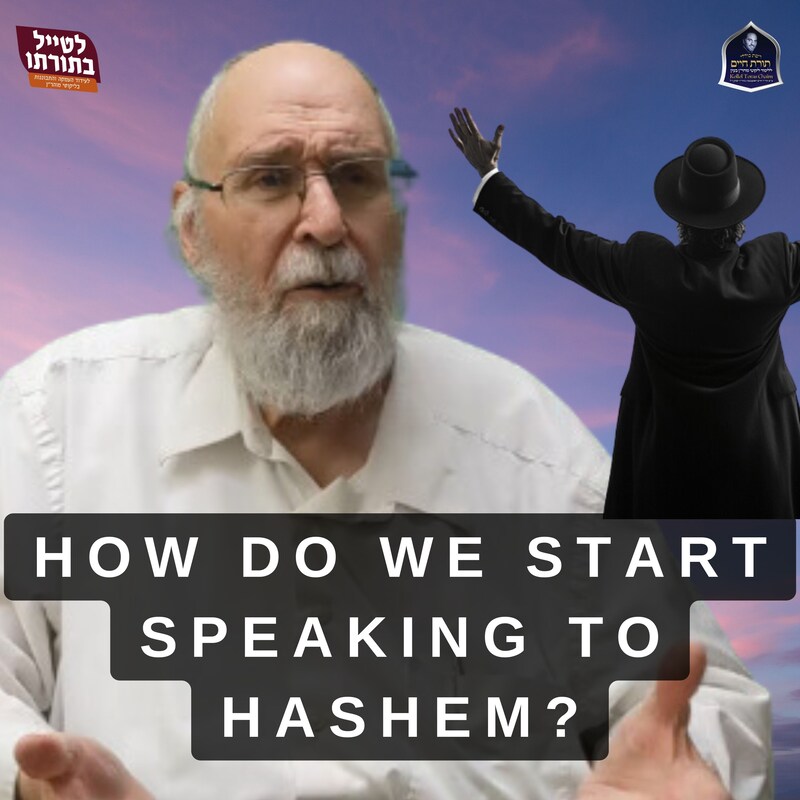 Artwork for podcast Kollel Toras Chaim All Shiurim